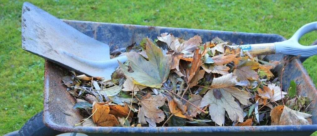 Brouette de jardin remplie de feuilles mortes en automne