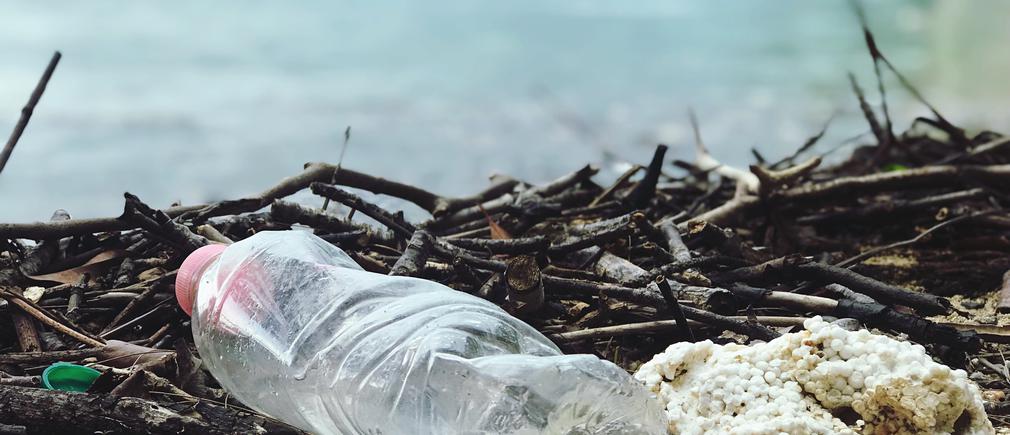 Une bouteille plastique abandonnée pollue le littoral