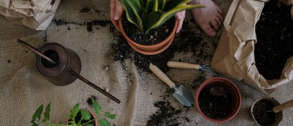 Terreau pour jardinage avec outils et plantes