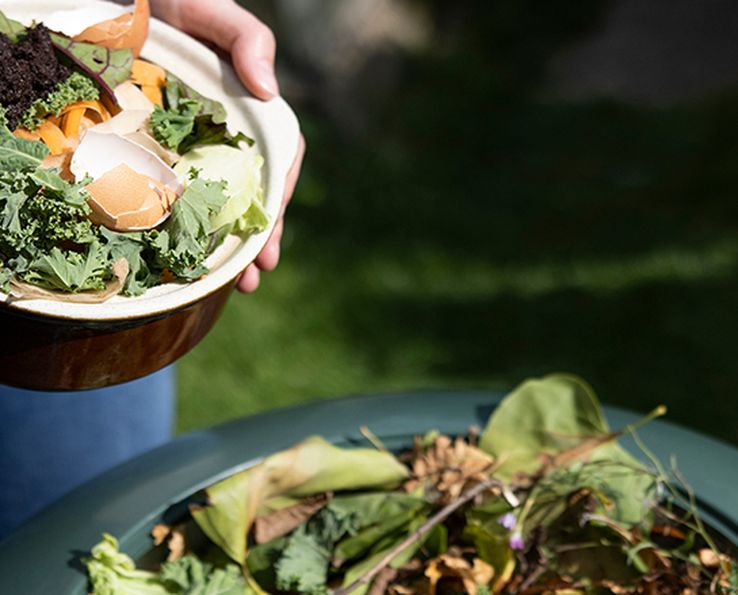 Bol d’épluchures de légumes et de verdure pour compost