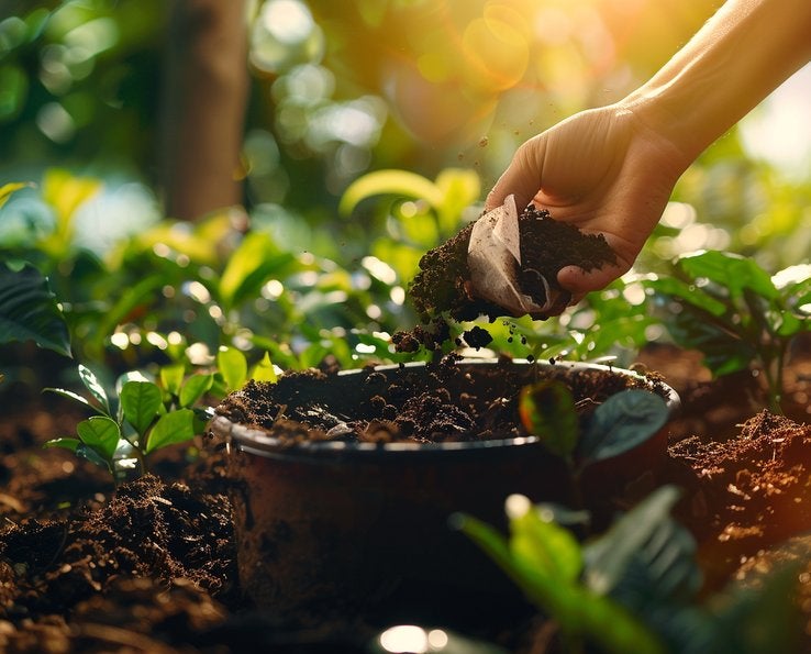 Main vidant un filtre à café rempli de marc dans un pot de compost