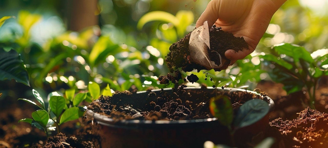 Main vidant un filtre à café rempli de marc dans un pot de compost