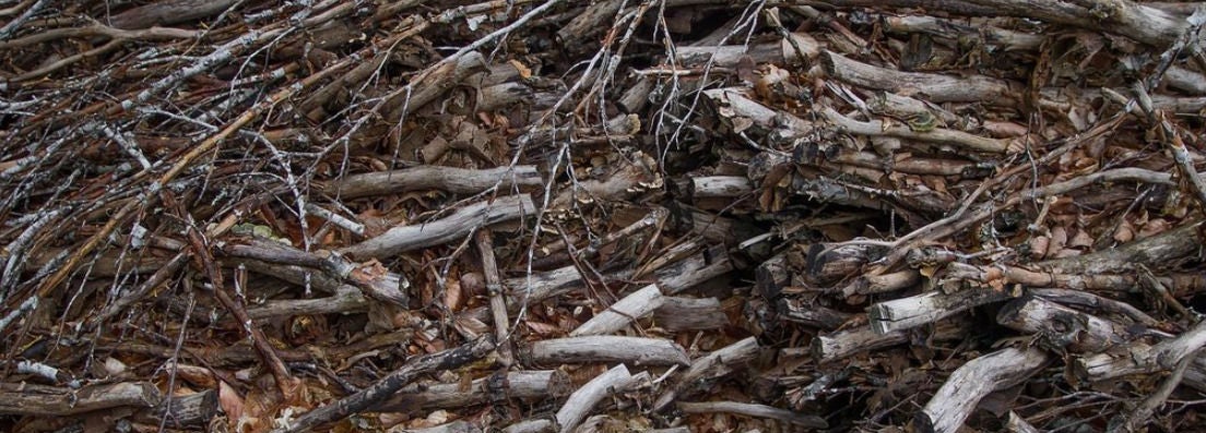 Tas de branches et de bois morts